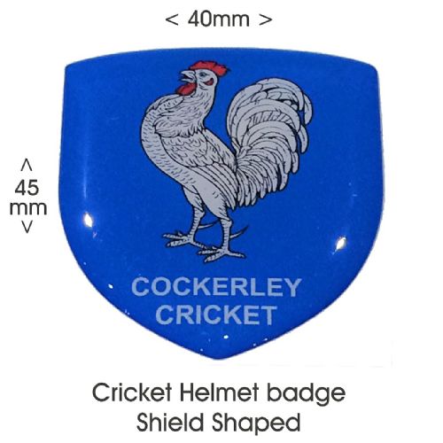 Helmet Badge Shield Shape